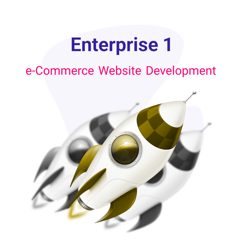 e-Commerce Website Development - Enterprise 1 Plan