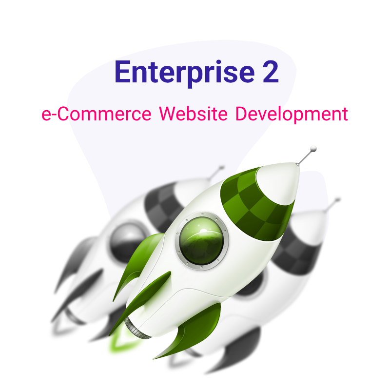 e-Commerce Website Development - Enterprise 2 Plan