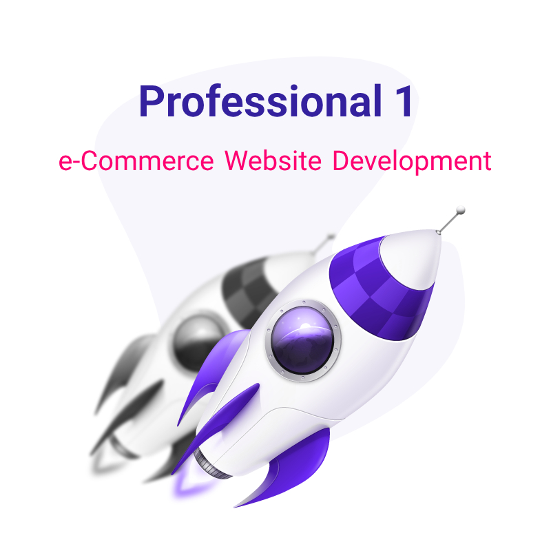 e-Commerce Website Development - Professional 1 Plan