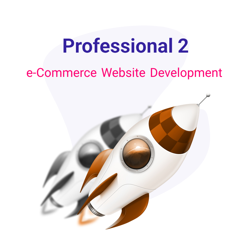 e-Commerce Website Development - Professional 2 Plan