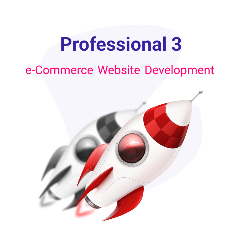 e-Commerce Website Development - Professional 3 Plan